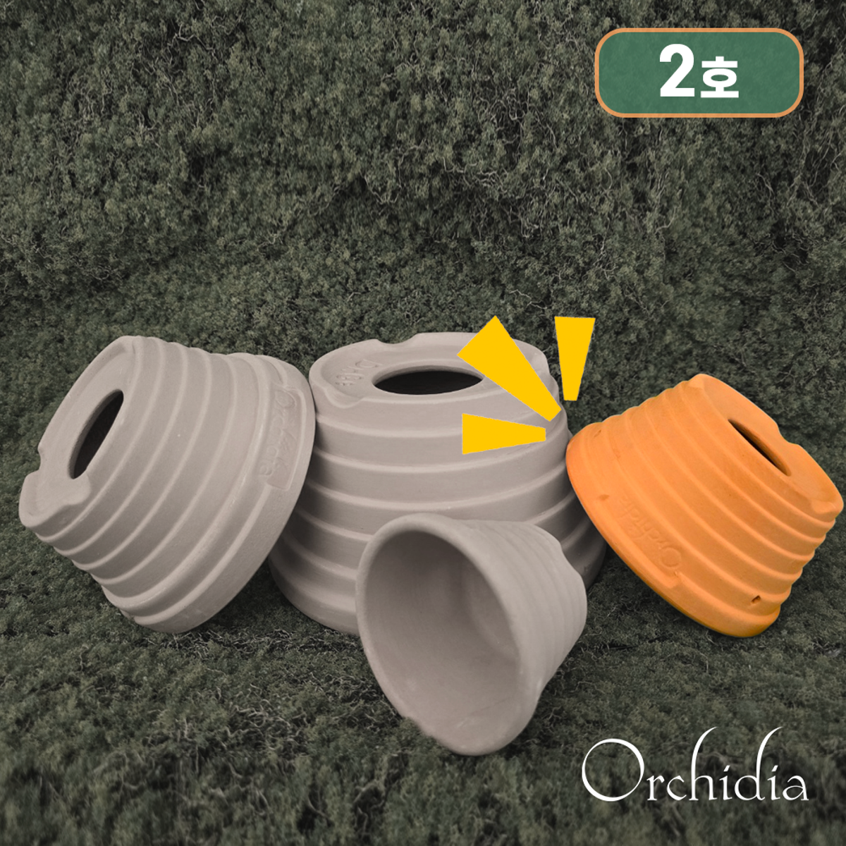 프리미엄 오키디아 2호 토분 Premium Orchidia Pot (size 2 :11.5 x 8 x 6)